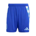 2024 Argentina Away Shorts Copa America