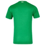 Ireland 2024 Home Jersey - Immagine 2