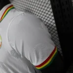 2024/2025 Senegal Special Edition Senegal Football Jersey for Players – Bild 6