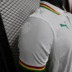 2024/2025 Senegal Special Edition Senegal Football Jersey for Players – Bild 7