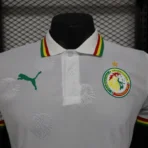 2024/2025 Senegal Special Edition Senegal Football Jersey for Players – Bild 3