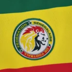 2022 Senegal Home Football Shirt – Bild 5