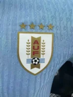 2024 Uruguay Copa América Heimtrikot Fußball, Spielerausführung - Immagine 5
