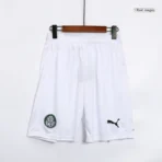 SE Palmeiras 2023/24 Heim-Shorts (Replica) - Image 6